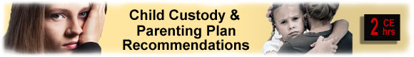 Child Custody & Parenting Plan Recommendations