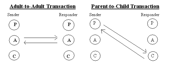 T.A. Transactions