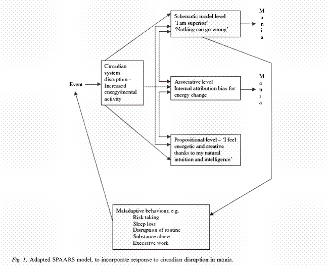 Adapted SPAARS model 1 Bipolar Adults CEUs