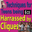 Techniques for Teens Experiencing Harrassment by Peers